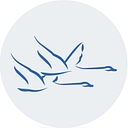 Continuent logo