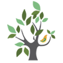 Continuum Care of Miami logo