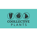 Coollective Plants