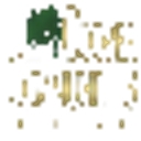 Cooper Communities, Inc.