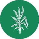 Copalli Rum logo
