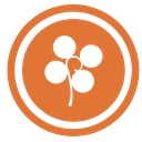 Copper Hill Incorporated logo