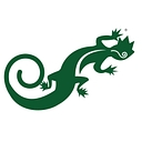 Copper Mountain Technologies