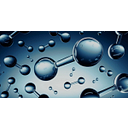 Coregas