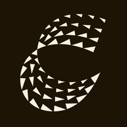 NEXT GEAR SOLUTIONS logo