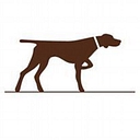 Corgentum Consulting logo