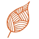 Cork Tree Creative, Inc. logo