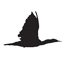 Cormorant Books Inc. logo