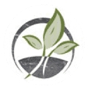 Cornerstone Vna logo