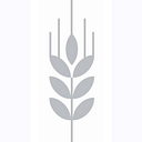 London - The Dental Surgery Corn Exchange logo
