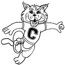 Cornish School District logo