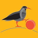 Cornwall Cricket Board Limited logo