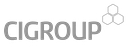 Corporate Innovations logo