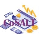 Cosalt Consulting Ltd. logo