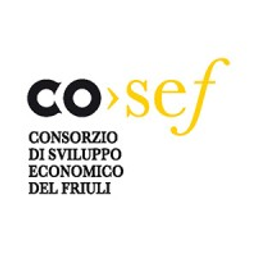 cosef.fvg.it