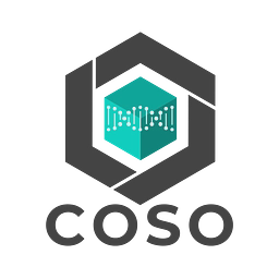 coso.org