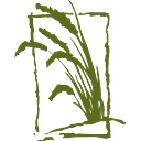 Costanoa Lodge And Camp logo
