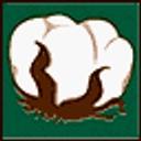 Cottonport Bank logo