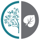 Cottonwood Dental