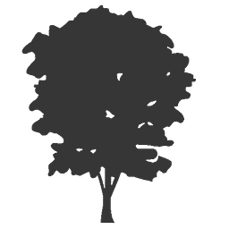 Cottonwood