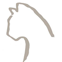 Cougar Fund Inc logo