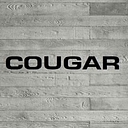 Cougar International Ltd