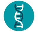 Canadian Organization For Undergraduate Health Research (Couhr) logo