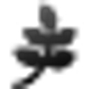 Country Classics, Inc. logo