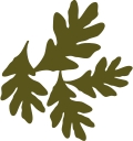 Country Cousins logo