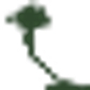 The Country Club Of Orlando logo