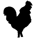 Country Corner Market logo
