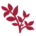 Country House at Dickinson