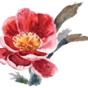 CP SENIOR LIVING LLC