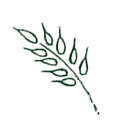 Country Products Limited logo