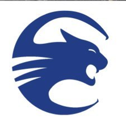 Countryside Academy  Elementary logo