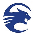 Countryside Academy