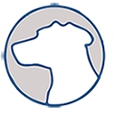 Countryside Veterinary Service - Jamestown logo