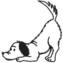 A Country Veterinary Clinic