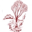Country View Nursing And Rehabilitation Lp logo