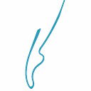 Covenant Ballet Theatre of Brooklyn logo