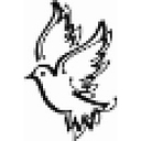 Covenant Dove, Llc