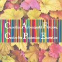 Centre For Photonics Expertise (Cpe) logo