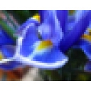 Cornerstone Partners Horticultural Services Co. logo