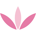 Craft Company