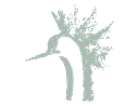 Crane's Beach House Boutique Hotel & Luxury Villas logo