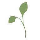 Cress Consulting Pty Ltd logo
