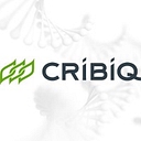 Cribiq Consortium De Recherche Et Innovations En Bioprocédés Industriels Au Québec logo