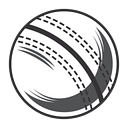 cricketbetpro.com logo