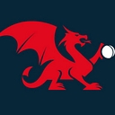 Cricket Wales logo