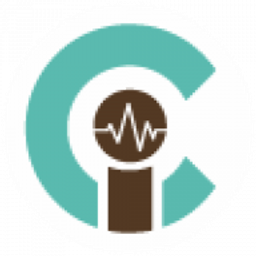 Critical Insights USA logo